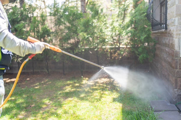 Best Affordable Exterminators  in Riverbend, WA